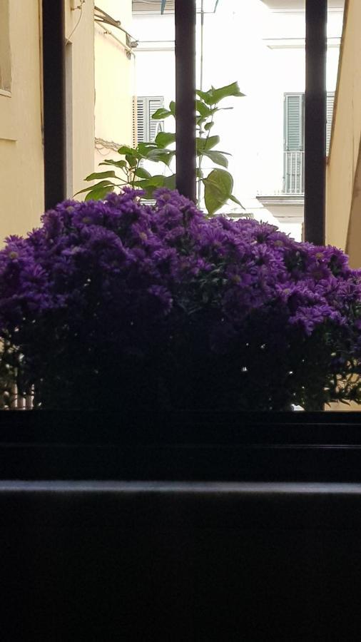 Il Giardino Sul Corso Lejlighed Scafati Eksteriør billede