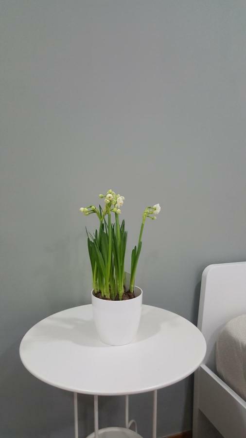 Il Giardino Sul Corso Lejlighed Scafati Eksteriør billede